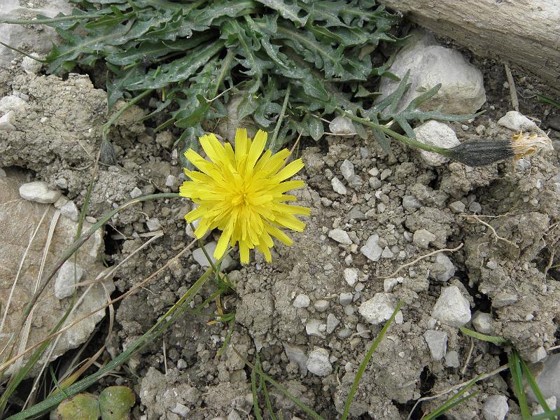 PA110395.JPG