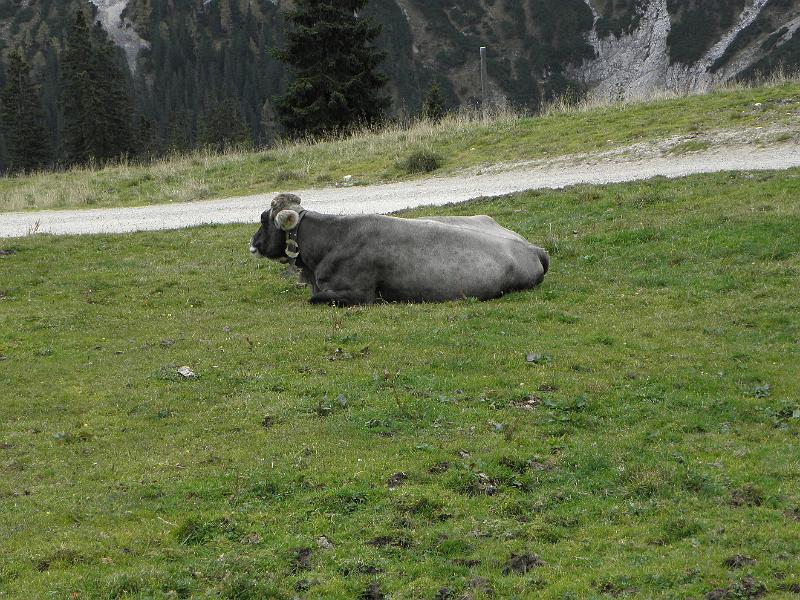 PA110396.JPG