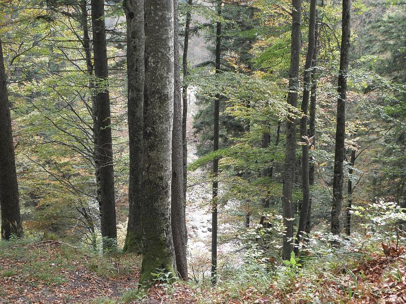 PA060048.JPG