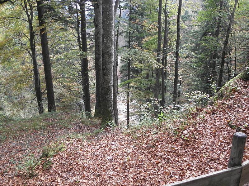 PA060049.JPG