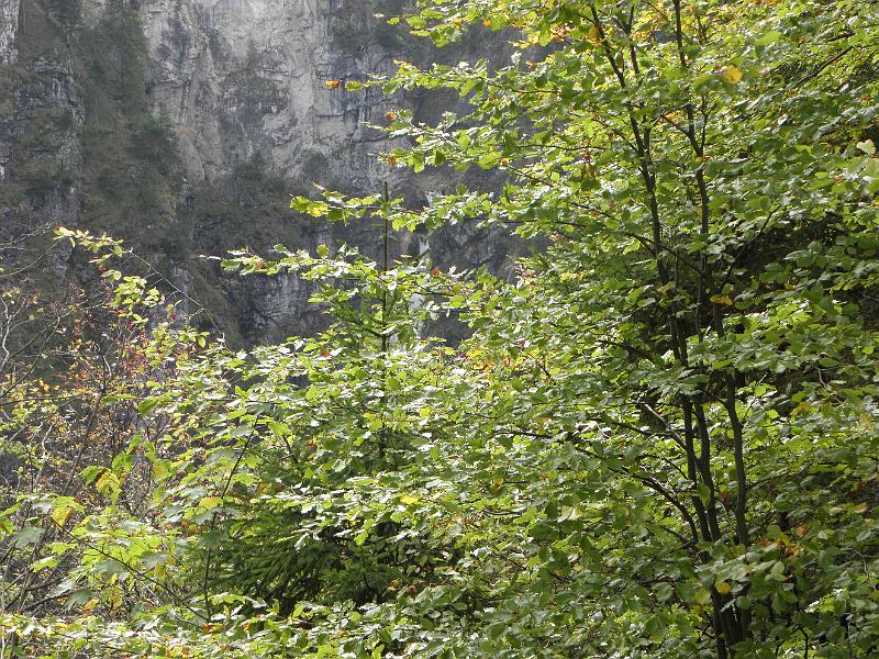 PA060080.JPG