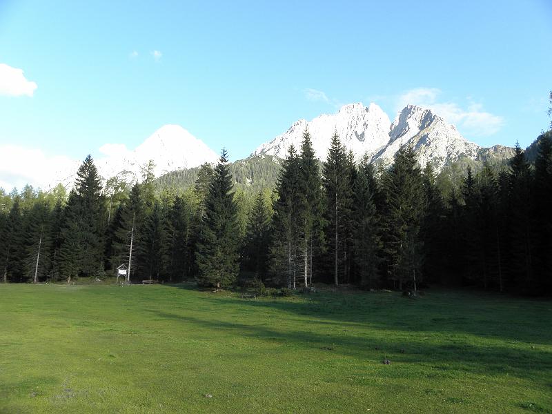 PA060110.JPG