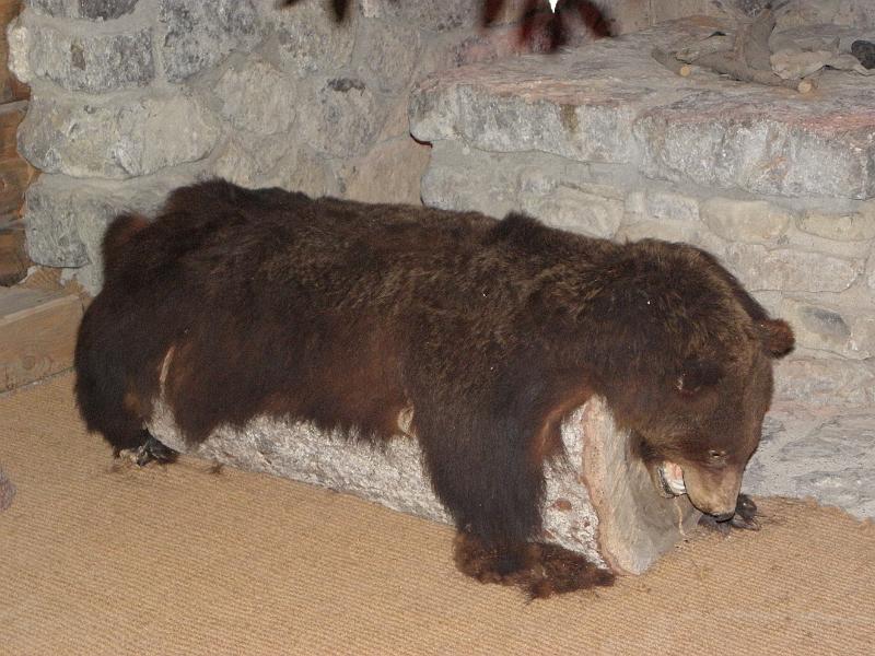 PA090330.JPG