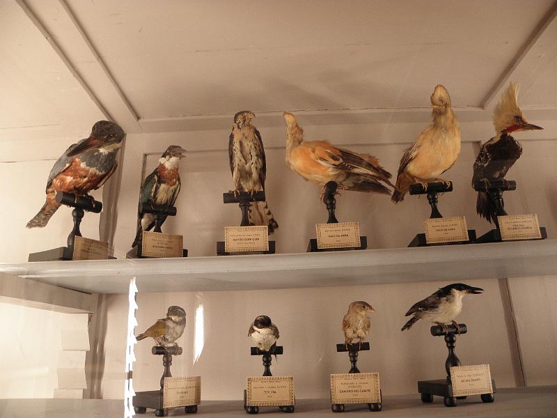 PA110426.JPG