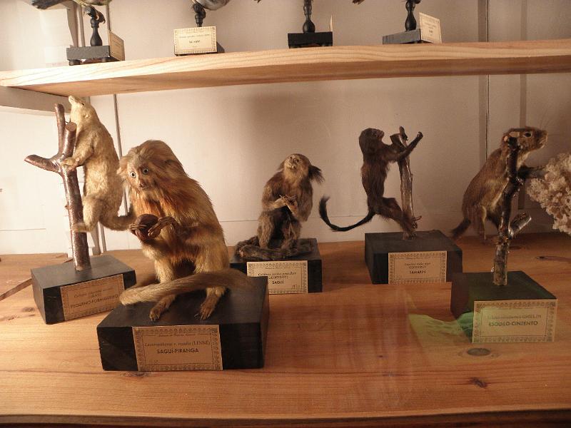 PA110430.JPG