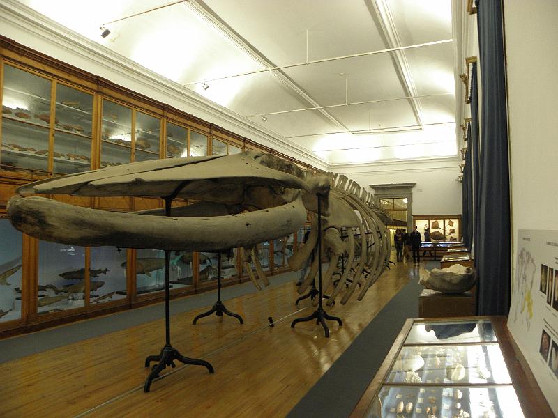 PA110436.JPG