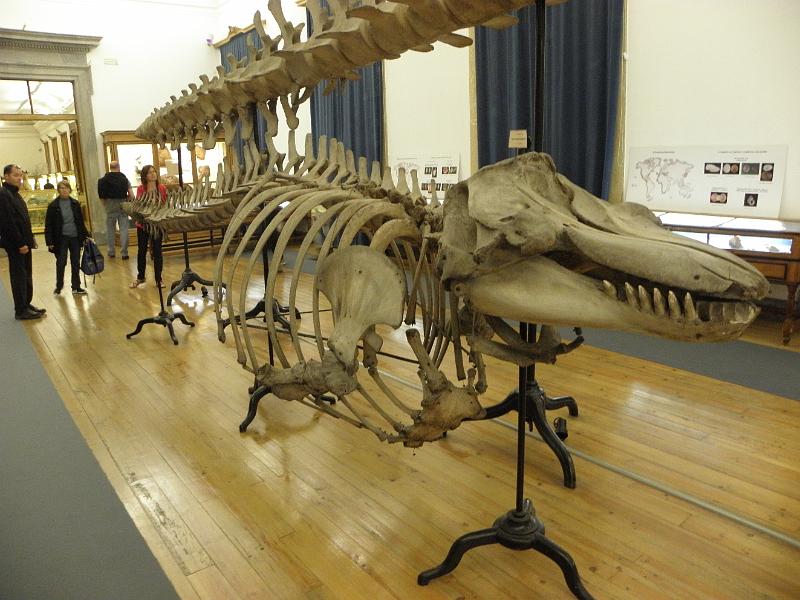 PA110437.JPG