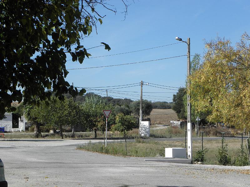 PA070209.JPG