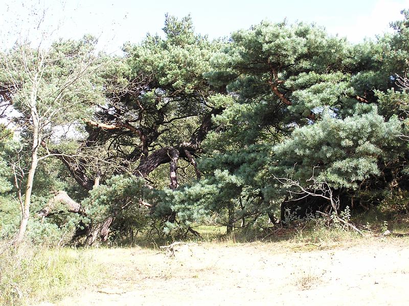 P1010025.JPG