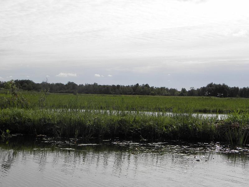 P9231465.JPG