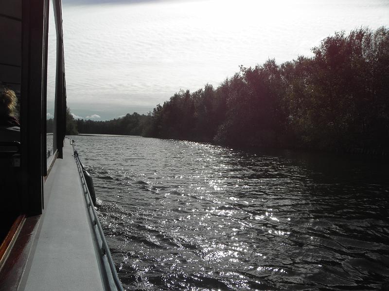 P9231485.JPG