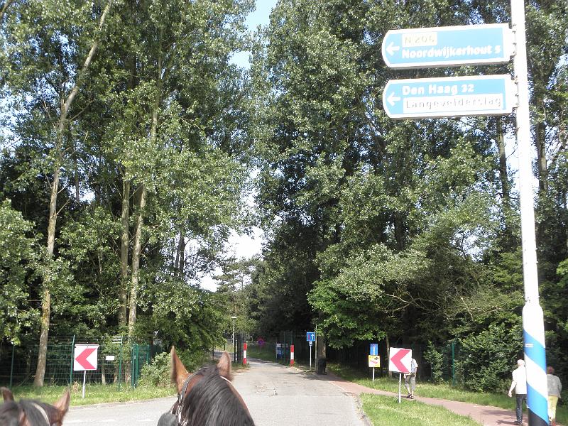 P6210425.JPG