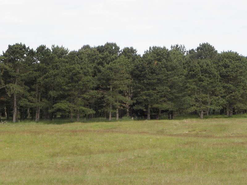 P6210457.JPG