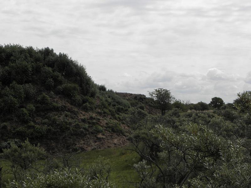 P6210460.JPG