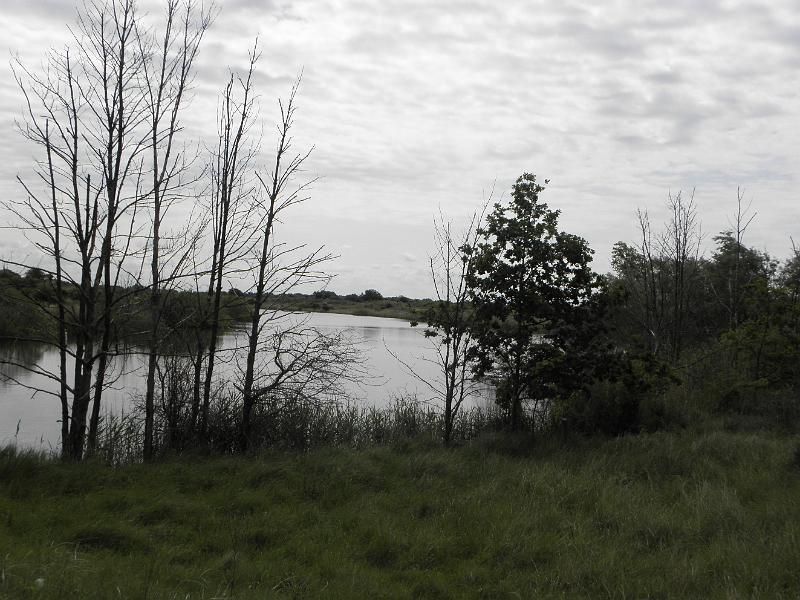 P6210482.JPG