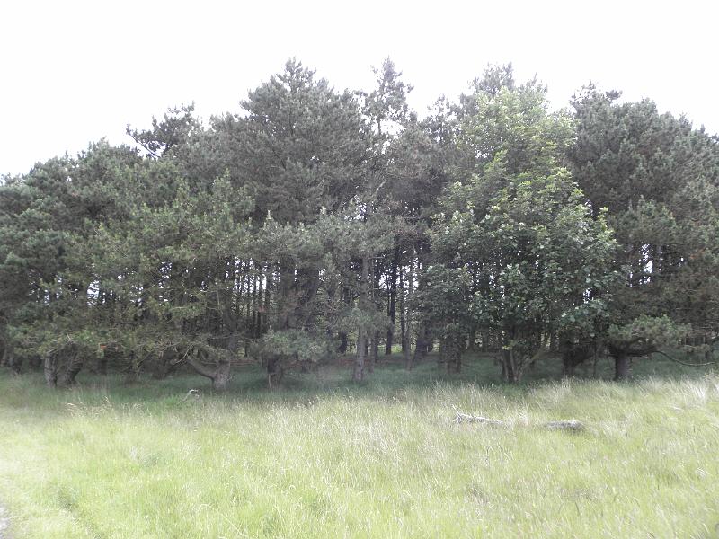 P6210488.JPG