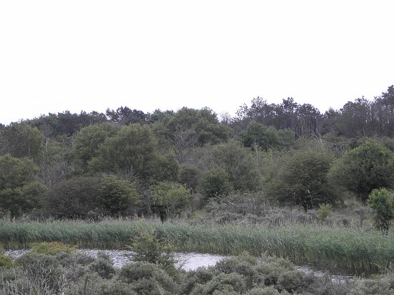 P6210494.JPG