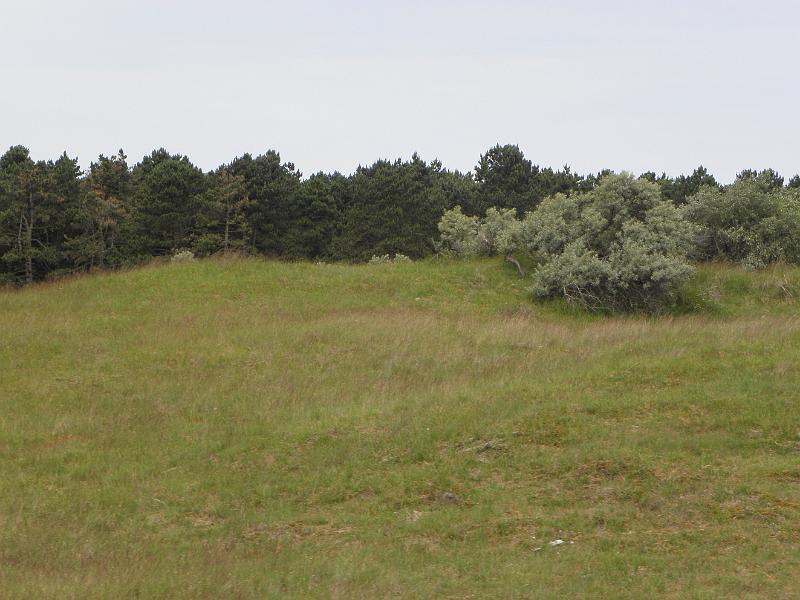 P6210635.JPG