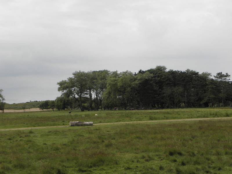P6210637.JPG