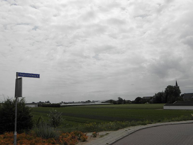 P6210679.JPG