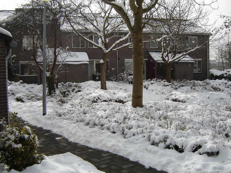 DSC00034.JPG