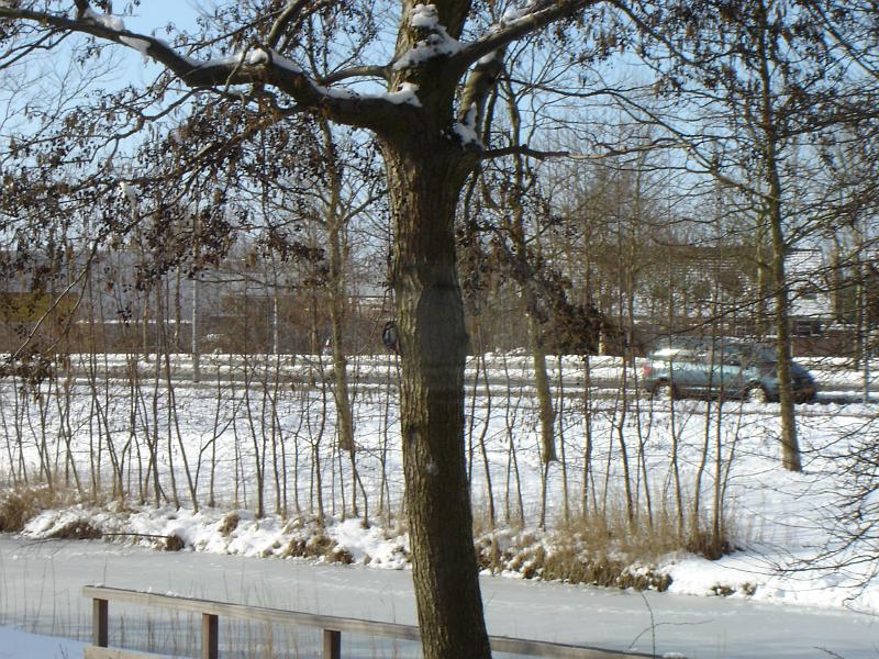 DSC00035.JPG
