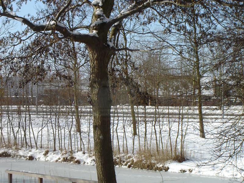 DSC00036.JPG