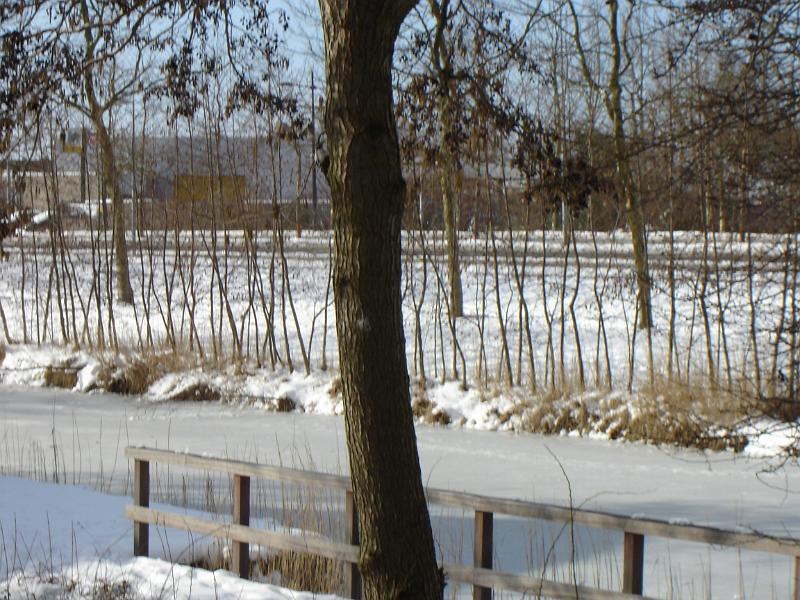 DSC00037.JPG