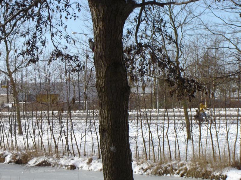 DSC00038.JPG