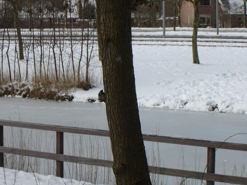 DSC00042.JPG
