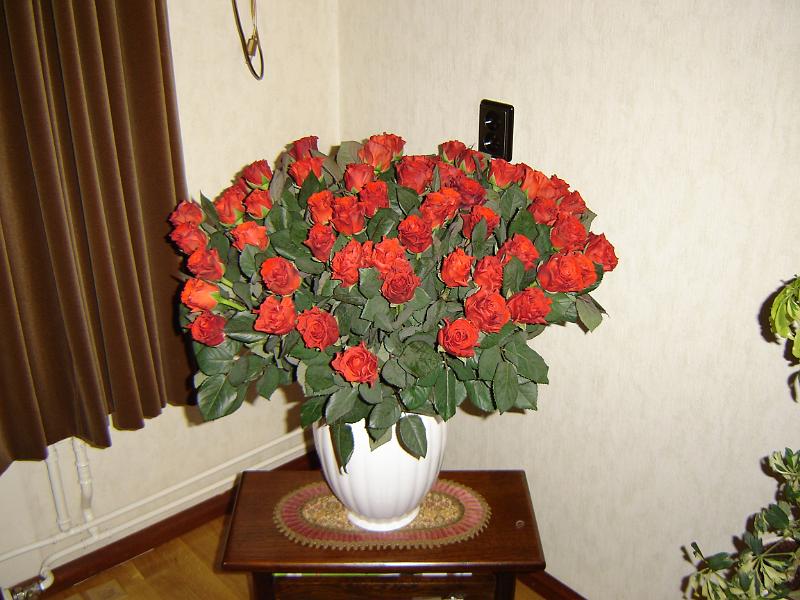 DSC00059.JPG