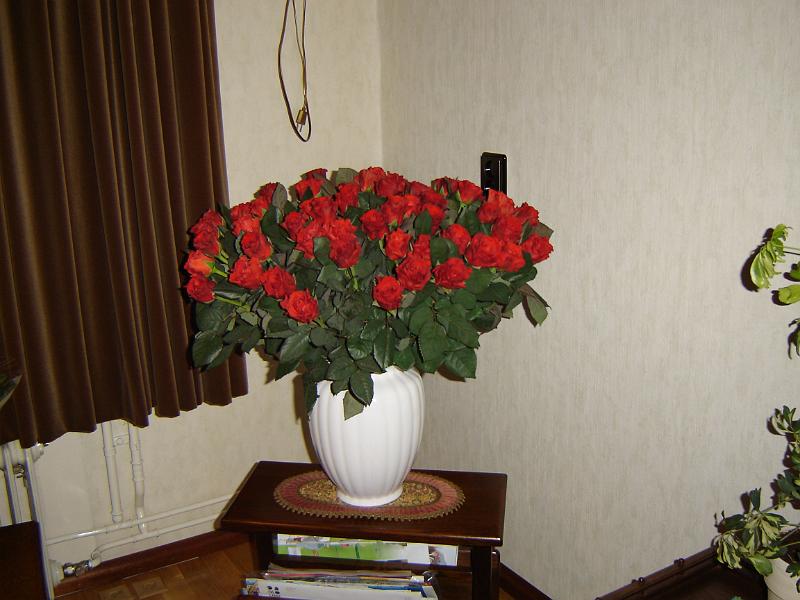 DSC00060.JPG