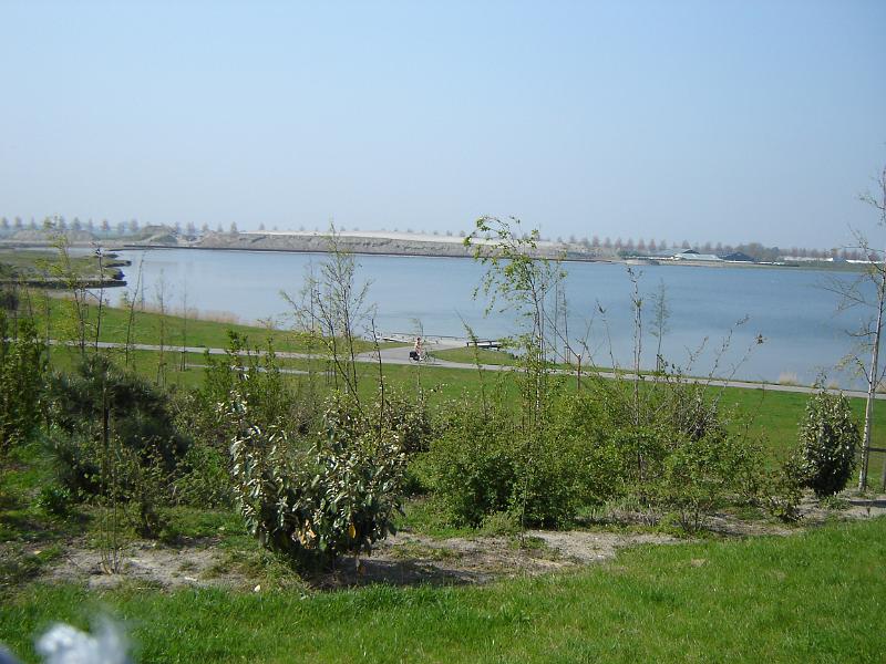 DSC00151.JPG