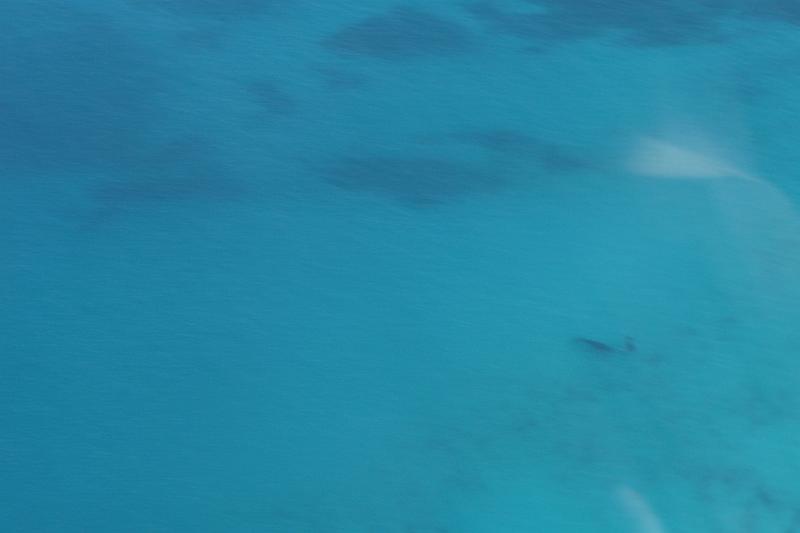 DSC04119.JPG