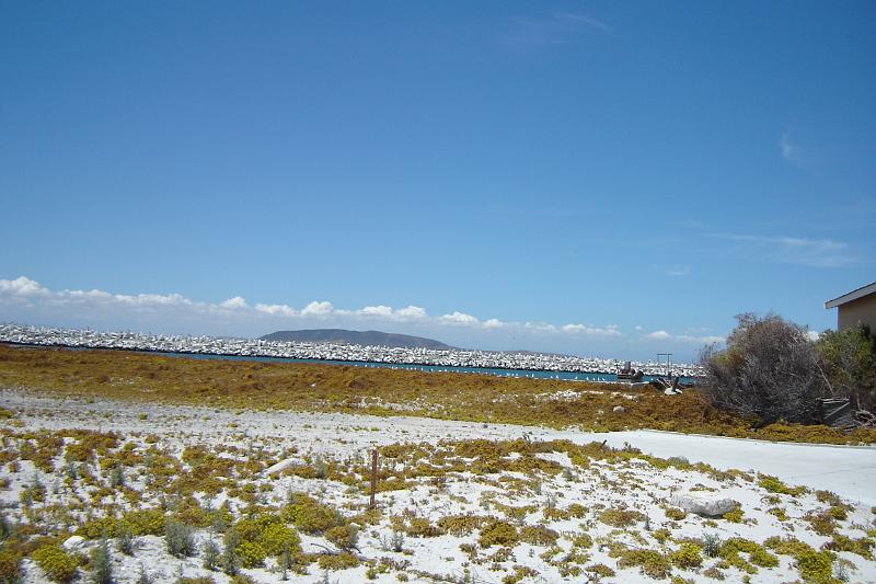 DSC04237.JPG