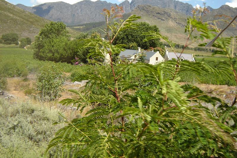 DSC04261.JPG