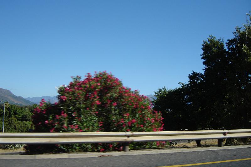 DSC04301.JPG