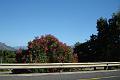 DSC04301
