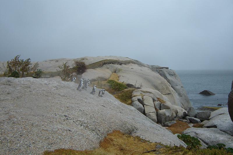 DSC04304.JPG
