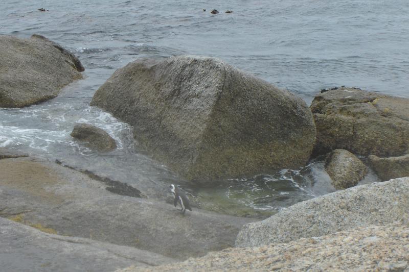 DSC04310.JPG