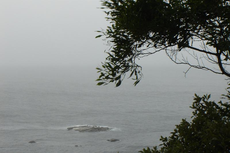 DSC04320.JPG