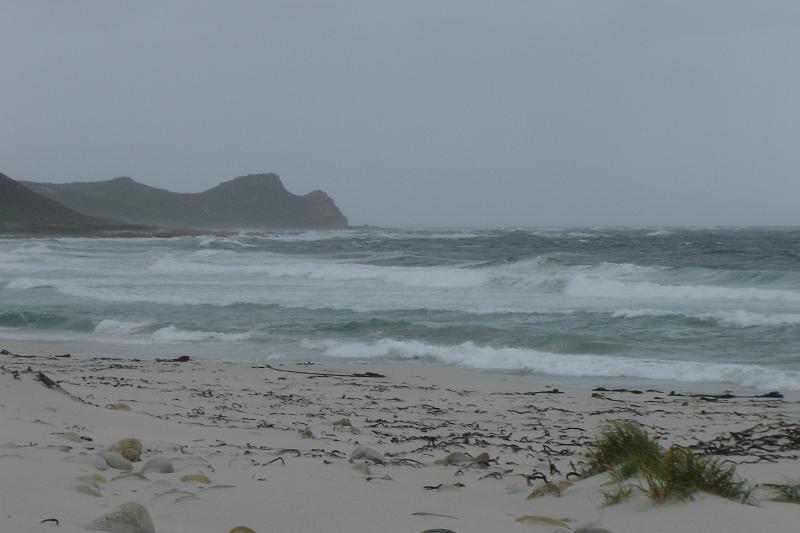 DSC04337.JPG