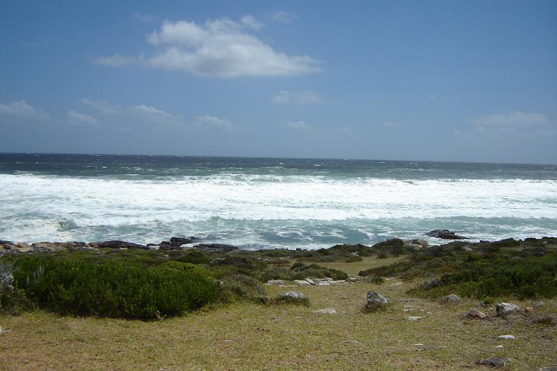 DSC04362.JPG