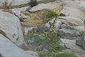 DSC04309