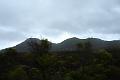 DSC04321