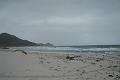 DSC04336
