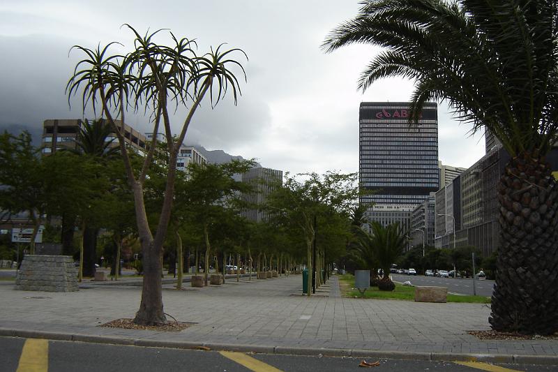 DSC04437.JPG