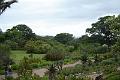 DSC04380