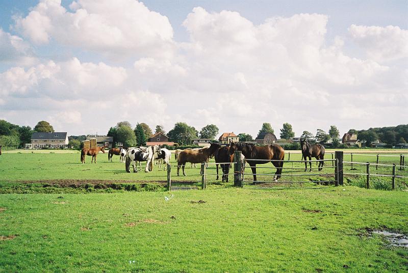 F2140004.JPG