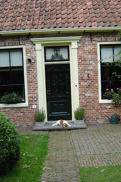 DSC03550.JPG